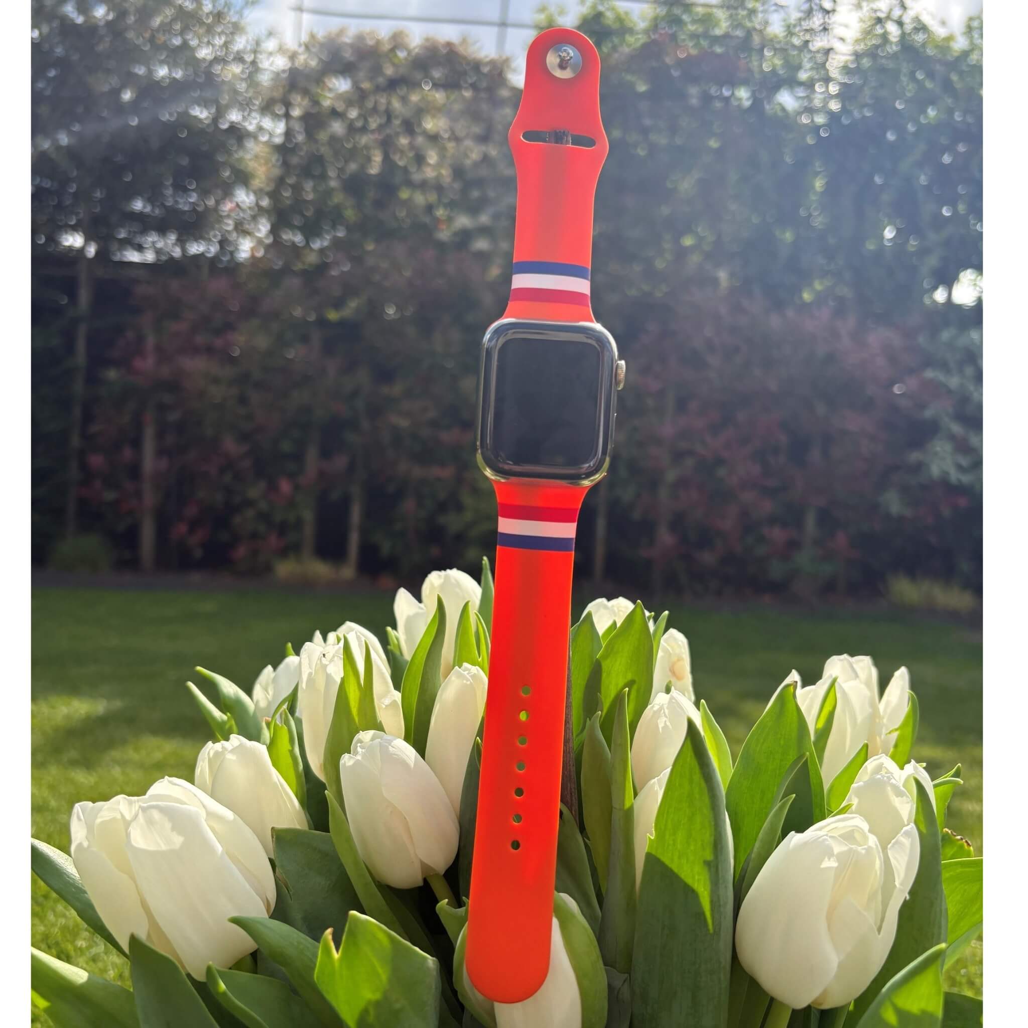 Oranje Holland Apple Watch bandje van BNationX met rood-wit-blauwe details, afgebeeld tussen witte tulpen in een zonnige tuin. Silicone smartwatch band geïnspireerd op de Nederlandse vlag voor Apple Watch gebruikers en Oranje supporters.